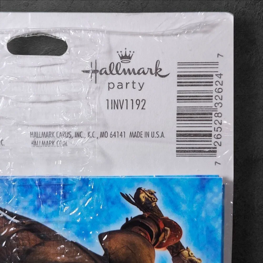 Hallmark How to Train Your Dragon 2 Party Invitations Thank You Postcards 16ct